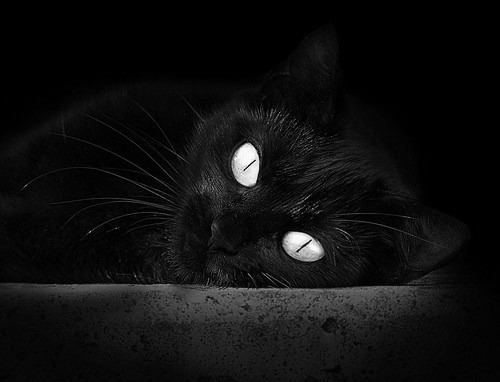 澳洲旋风席卷北美，当澳洲刺客联手西班牙超新星，NBA总决赛的权杖已然易主？